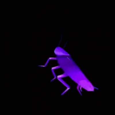 cockroach-san while roberu's panicking screaming