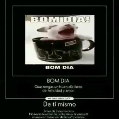 Pog bom dia