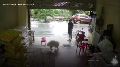 Hope they learned their lessson