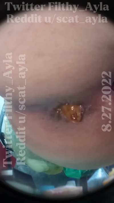 Pov as my toilet [F]