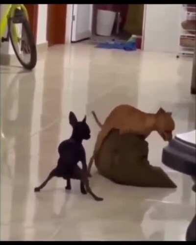 Parents are the best teachers, they said