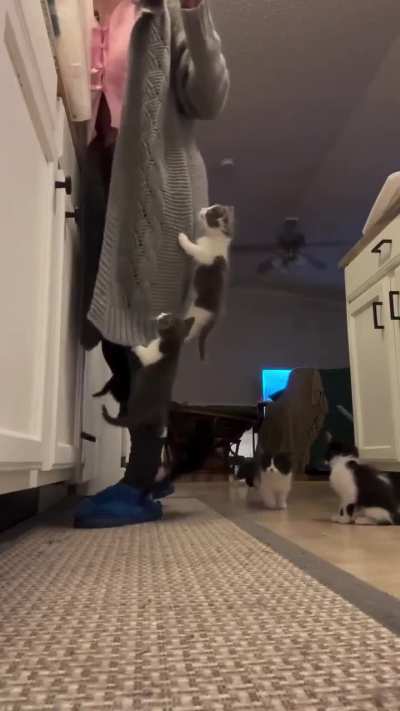 The only problem I want in my life