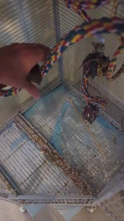 Every night is a battle