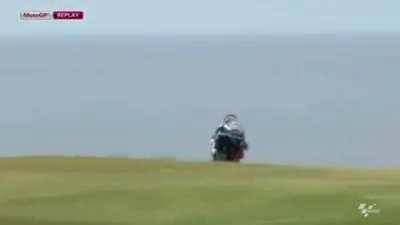 is it a bird?, it IS a bird!