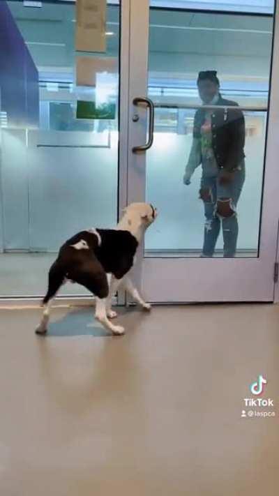 I'm not crying, you're crying