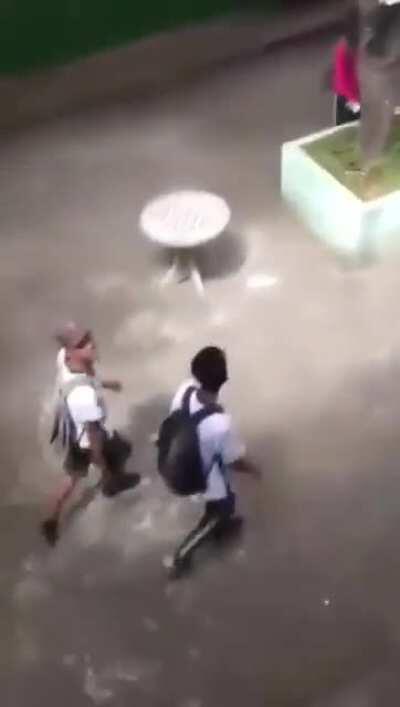 Até os professores devem ter se confundido