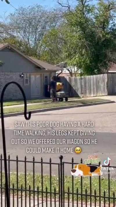 Bro sees older dog done with his walk, lends owner a wagon to help get the dog home
