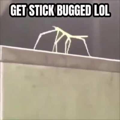 Noooo... de nuevo me paso lo mismo 😪