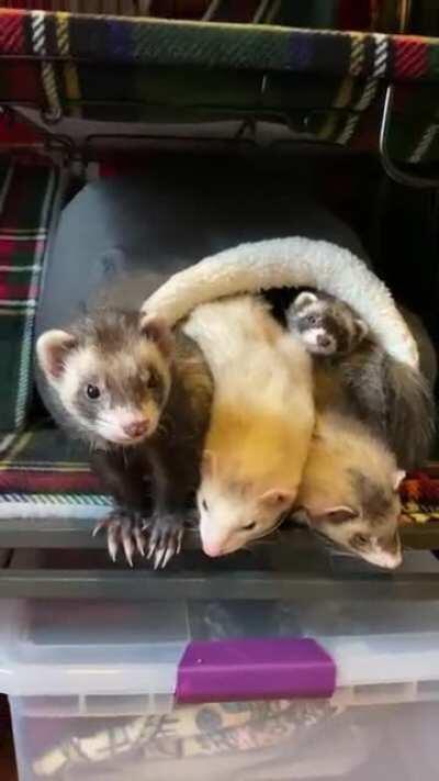 Good morning! ☀️