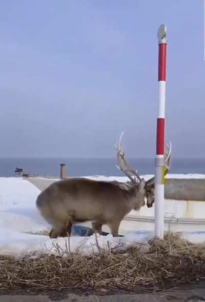 I think it's pretty clear who won that fight