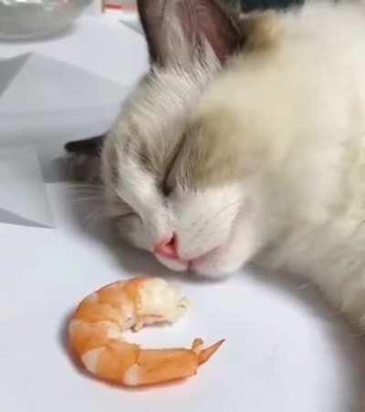 And the dream became a reality.