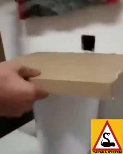 Control de plagas en misiones