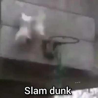 Slam dunk