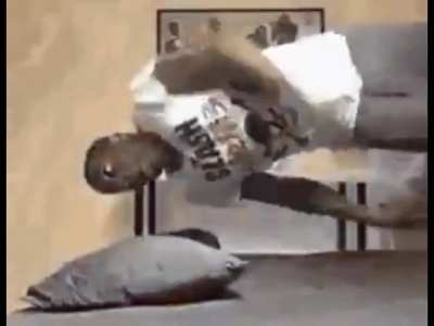 [fluff] Starred Aliens