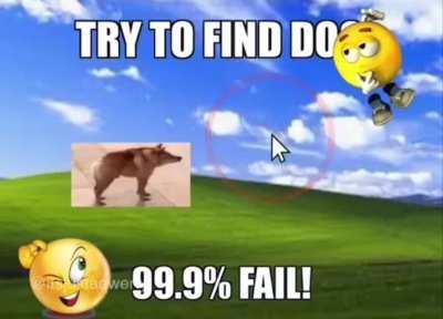 Idk if its arab but its funny