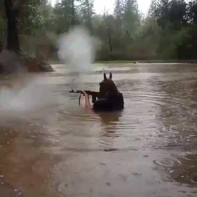 Madre mia juan táctico y enzima táctico