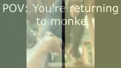 Return To Monke