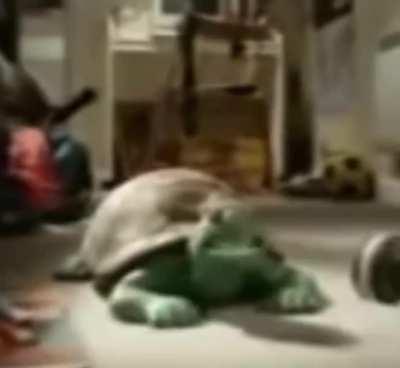 oompasubs - Video #5315