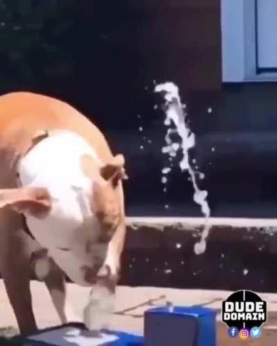 Practice makes perfect!!