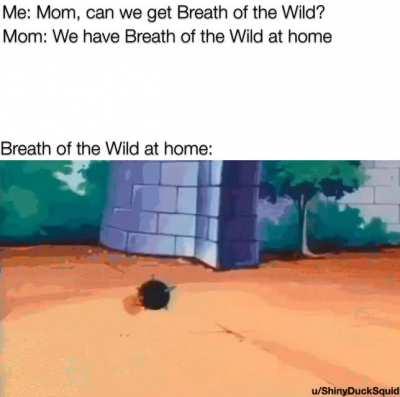 Let’s not forget about the original shield surf...