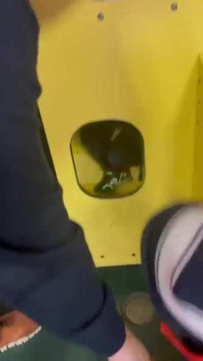 Shoulda pocketed something