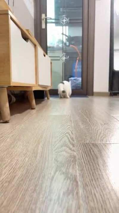 She's so smart and cute 😍😍😍