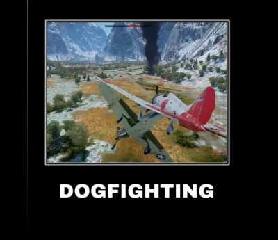 ah the quality flights of arcade mode