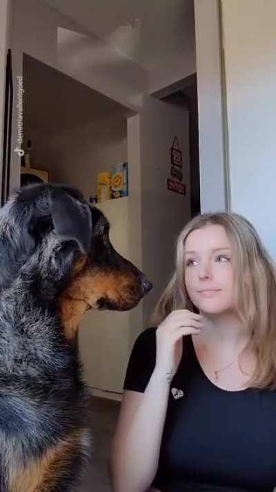 Time to throw some paws