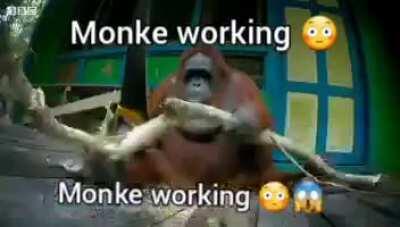 He do be productive doe