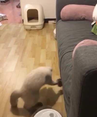 GET IT OFF!!! (u/cyan1618)