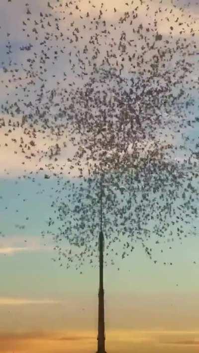 WE ARE THE ALGORITHM