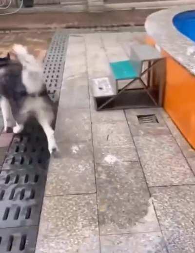 Only if there was a way in...