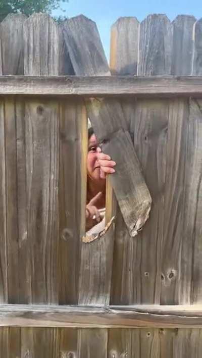 mental illness or drugs? both?