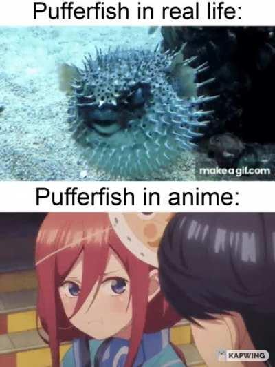 There's plenty of fish in the sea