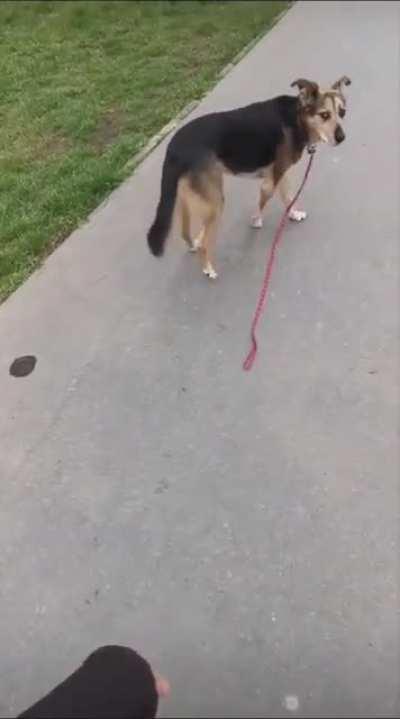 Here...you dropped this.