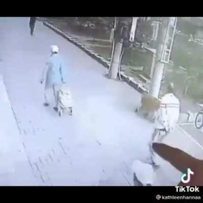 Los 3 gatos mas Conchesumare del mundo 🥶