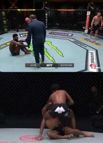 I put the Mighty Mouse and Aljamain Sterling knee side-by-side for discussion