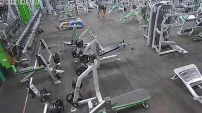 Does this look like an accident to you ?