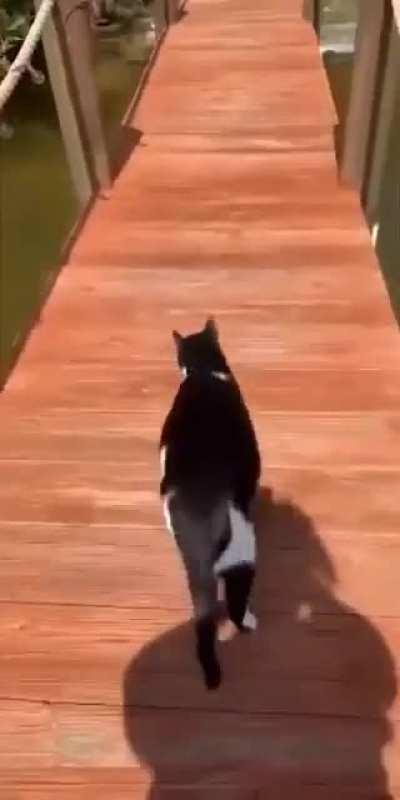 “He’s gonna make it”