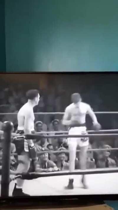 bOxEr BrUtAlLy bEaTs OpPoNeNt To dEaTh