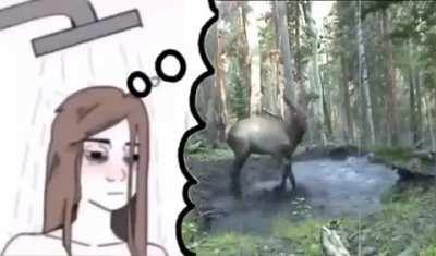 Deer_irl