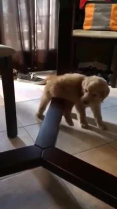 He came up with a plan to get unstuck, but in the end falling over was what worked