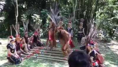 one mistake and everything ends in tears and pain..