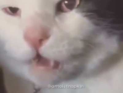 He’s living his best life