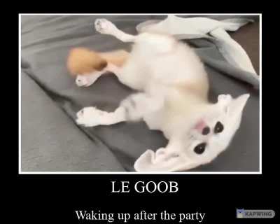 Party hard like Le Goob