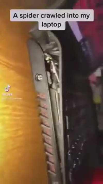 A Superior Method Of Pest Control