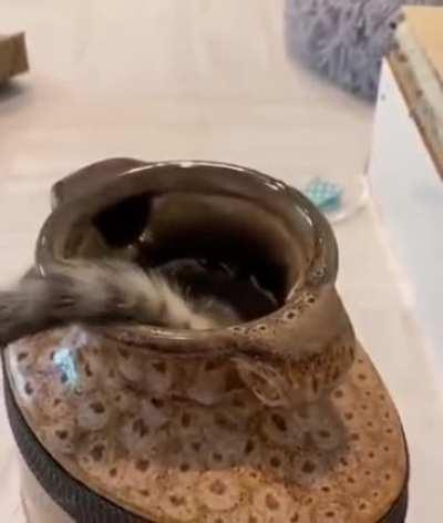 The vase of colour changing