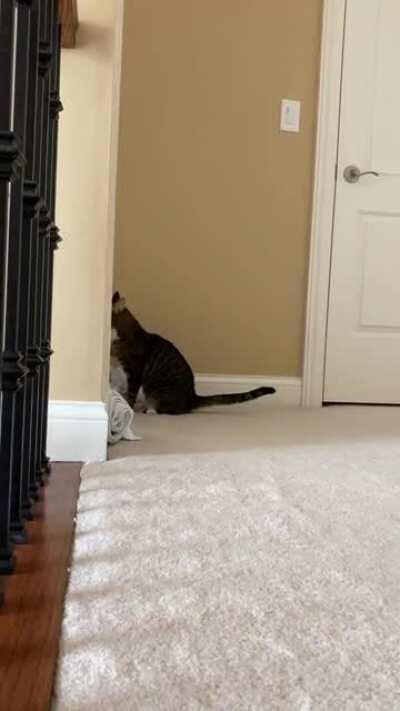 If you stay in bed too late, he yells at your door until you open it. I finally got it on video!