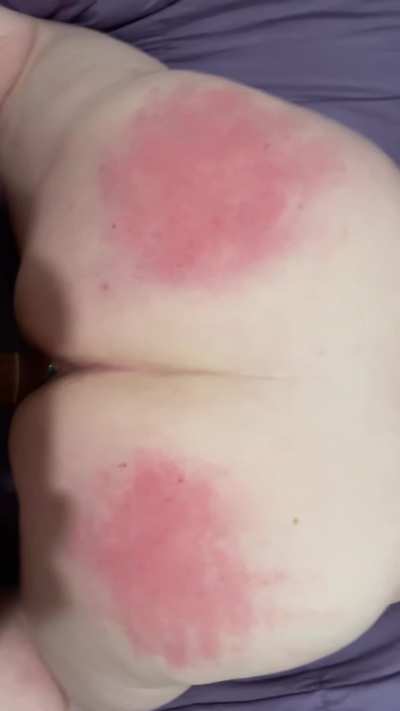 Stuffed by a Redditor the Day Before Thanksgiving 