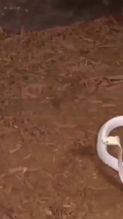 She is a beauty😍😍😍